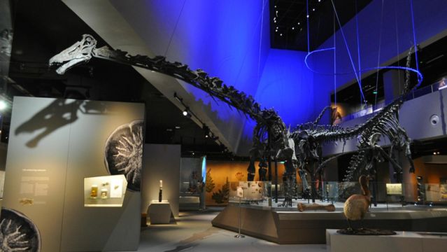 Lee Kong Chian Natural History Museum, Singapore