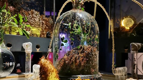 마이크로피아 박물관