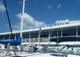 Clearwater Marine Aquarium