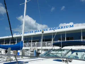 Clearwater Marine Aquarium