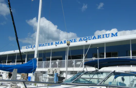 Clearwater Marine Aquarium門票長者