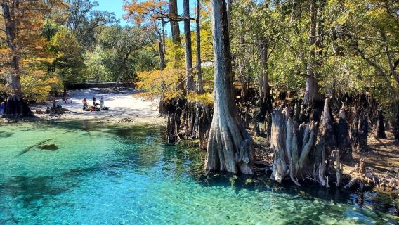 Morrison Springs County Park