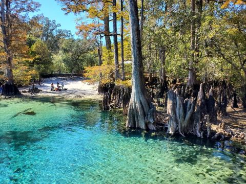Morrison Springs County Park