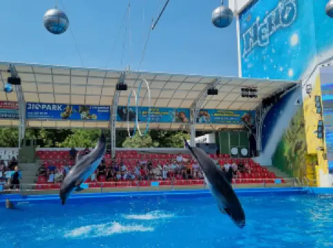 イルカ水族館ネモ