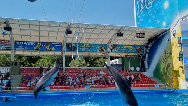 Odesa Dolphinarium Nemo