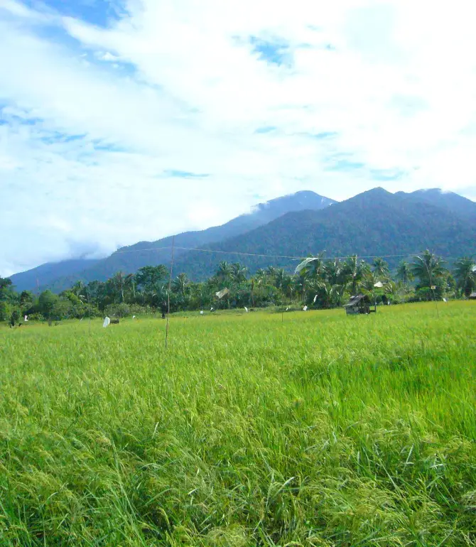 Sematan