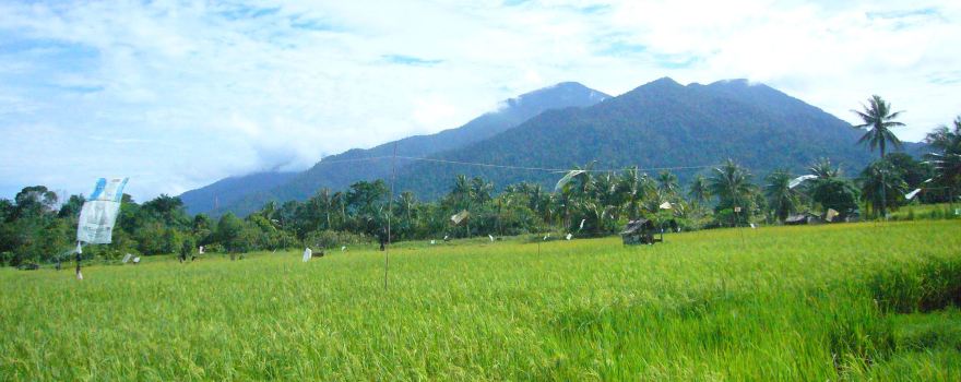 Sematan