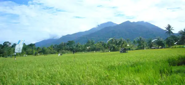 Hotels in Sematan