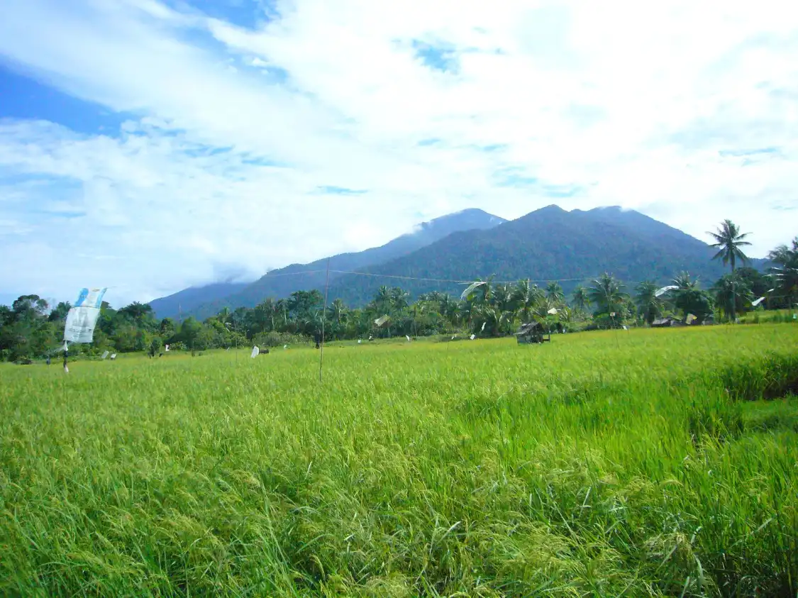 Hotels near Sematan Village