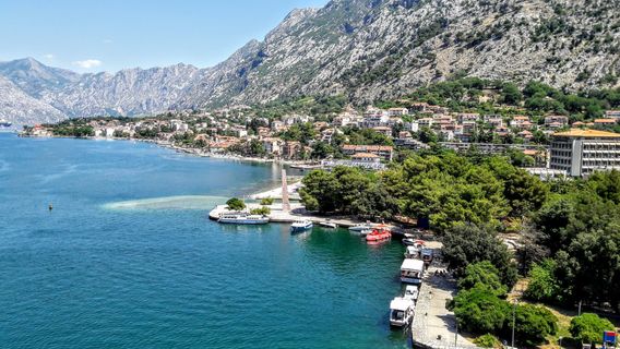 Kotor