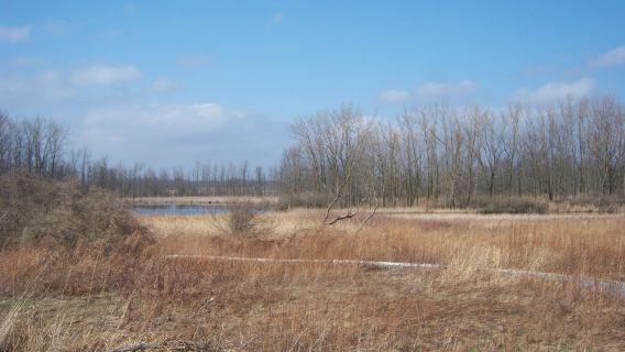 Iroquois National Wildlife Refuge