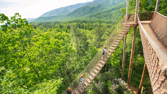 CLIMB Works Smoky Mountains - Zipline Tour