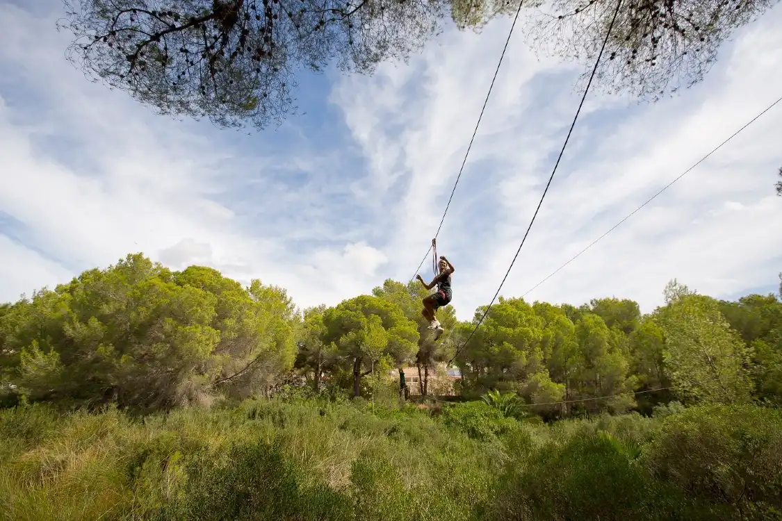 Hotels near Jungle Parc Mallorca