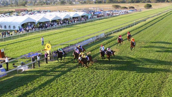 Hollywoodbets Scottsville Racecourse