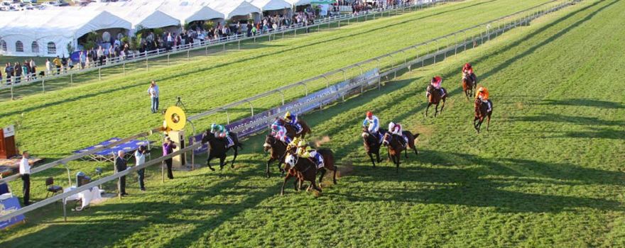 Hollywoodbets Scottsville Racecourse