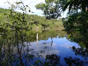 Laguna Charco Verde