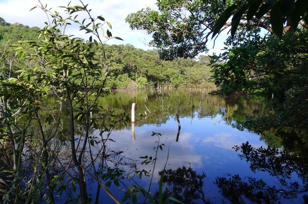 Laguna Charco Verde