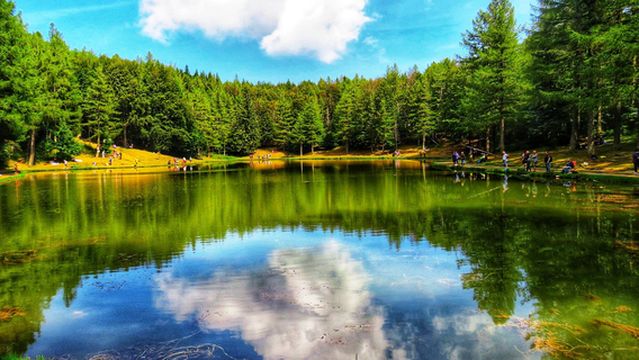 Adventure Park Cimone