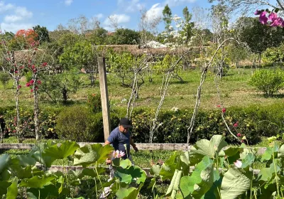 Belize Spicefarm and Botanical Gardens