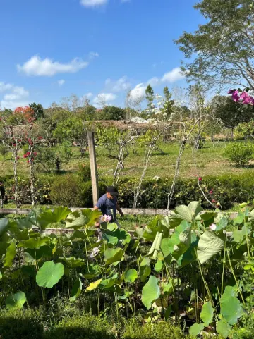 Belize Spice Farm & Botanical Garden