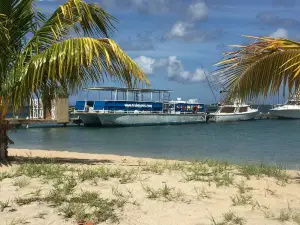 Dive Nevis (Scuba Safaris)
