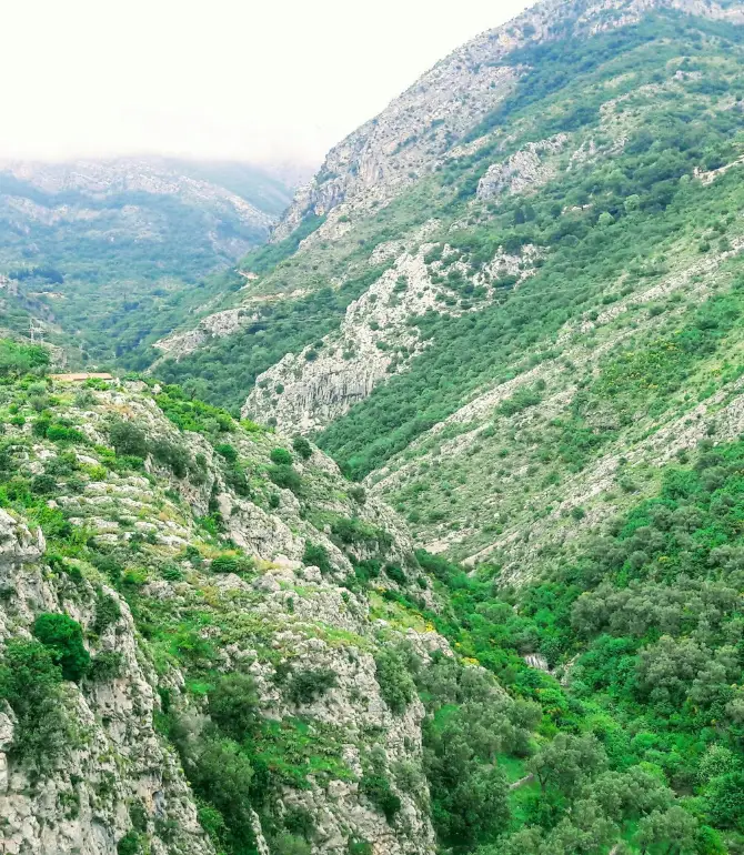 Stari Bar