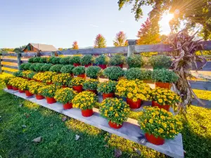 Liberty Ridge Farm