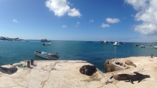 Los Mantas Dive Center