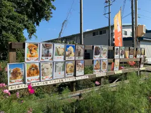 Yatsugatake Alpaca Farm