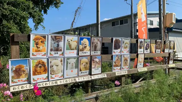 Hotels near Yatsugatake Alpaca Farm