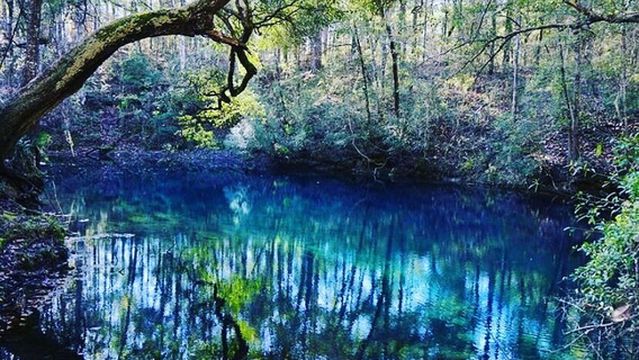 Leon Sinks Geological Area