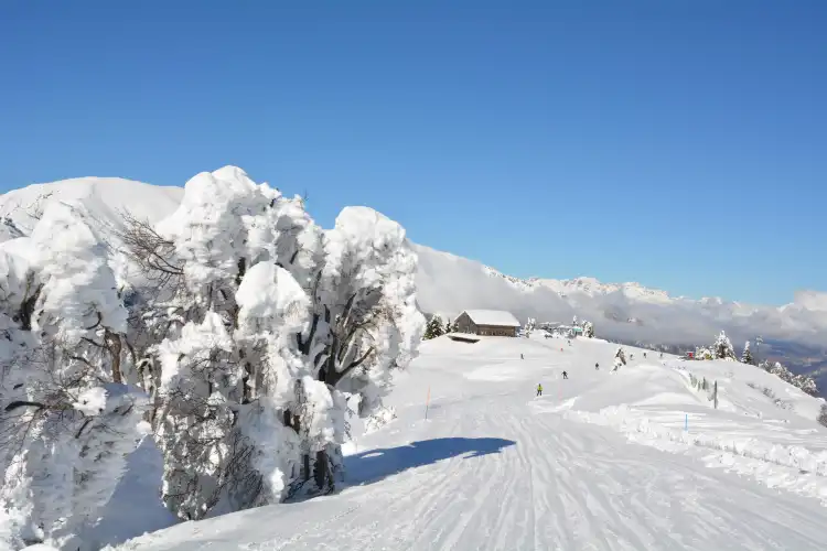 Brentonico