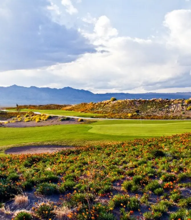 Fort Mohave