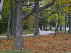 John Henes Park