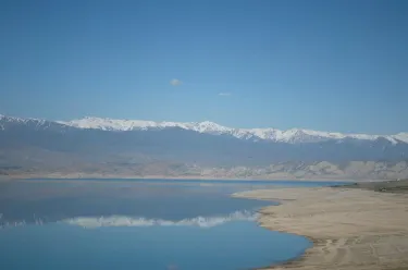 Talas