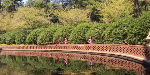 Walter Y. Elisha Park