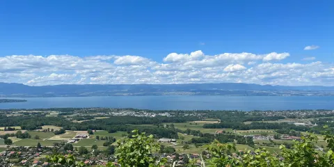 Castlex des Allinges Chateaux des Allinges