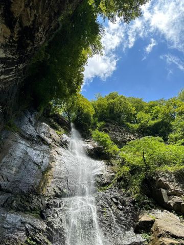 Makhuntseti Waterfall