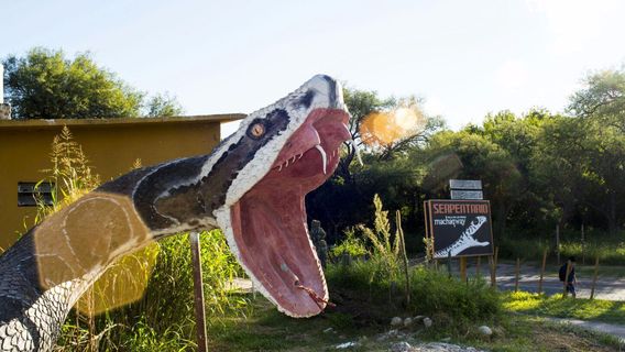 Serpentario Machaqway