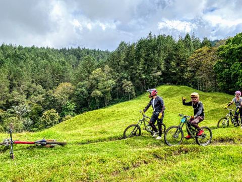 Mountain Bike Salento Colombia