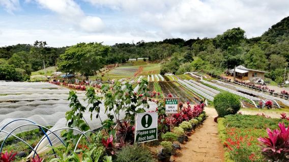 Bemwa Farm