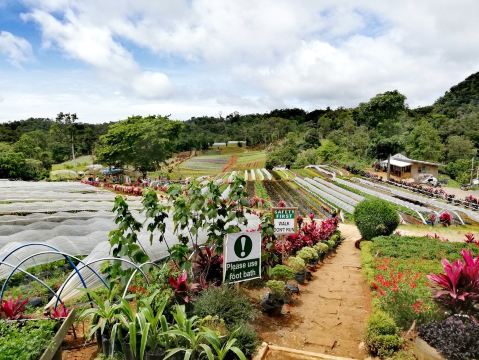 Bemwa Farm
