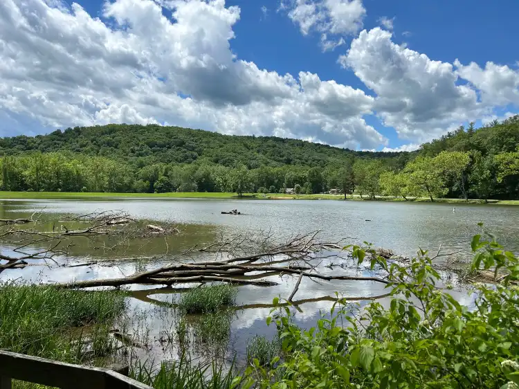 Pike County