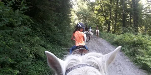 Ferme  Equestre de Bernicaze