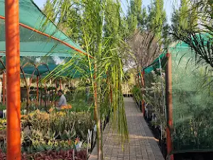 Eden Garden Centre