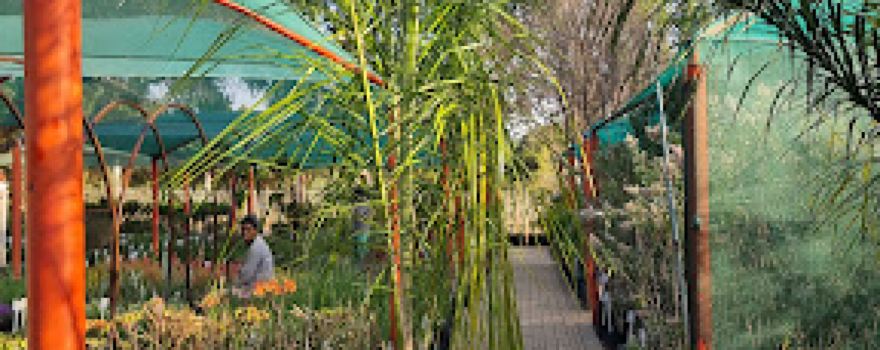 Eden Garden Centre