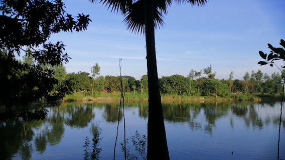 MiNi Park
