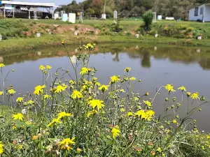 Zoo Pesca Esportiva