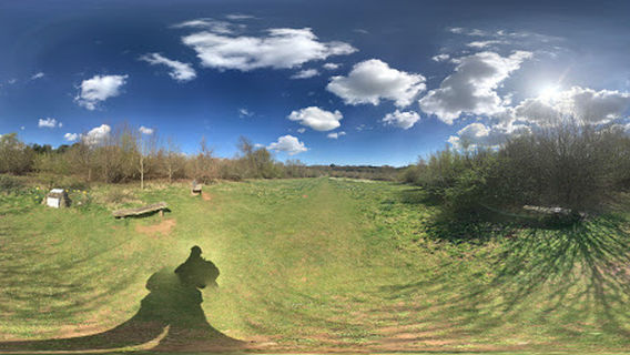 Martins Wood Nature Reserve