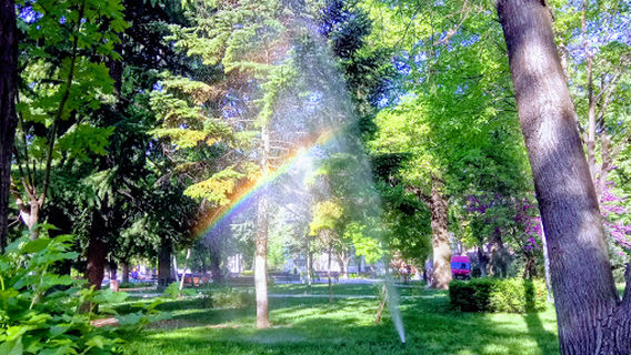 Plovdiv